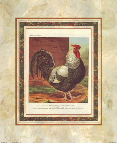 Rose-Combed Dorking Cock 