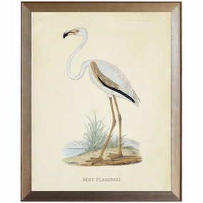 Rosy Flamingo Framed Wall Art 