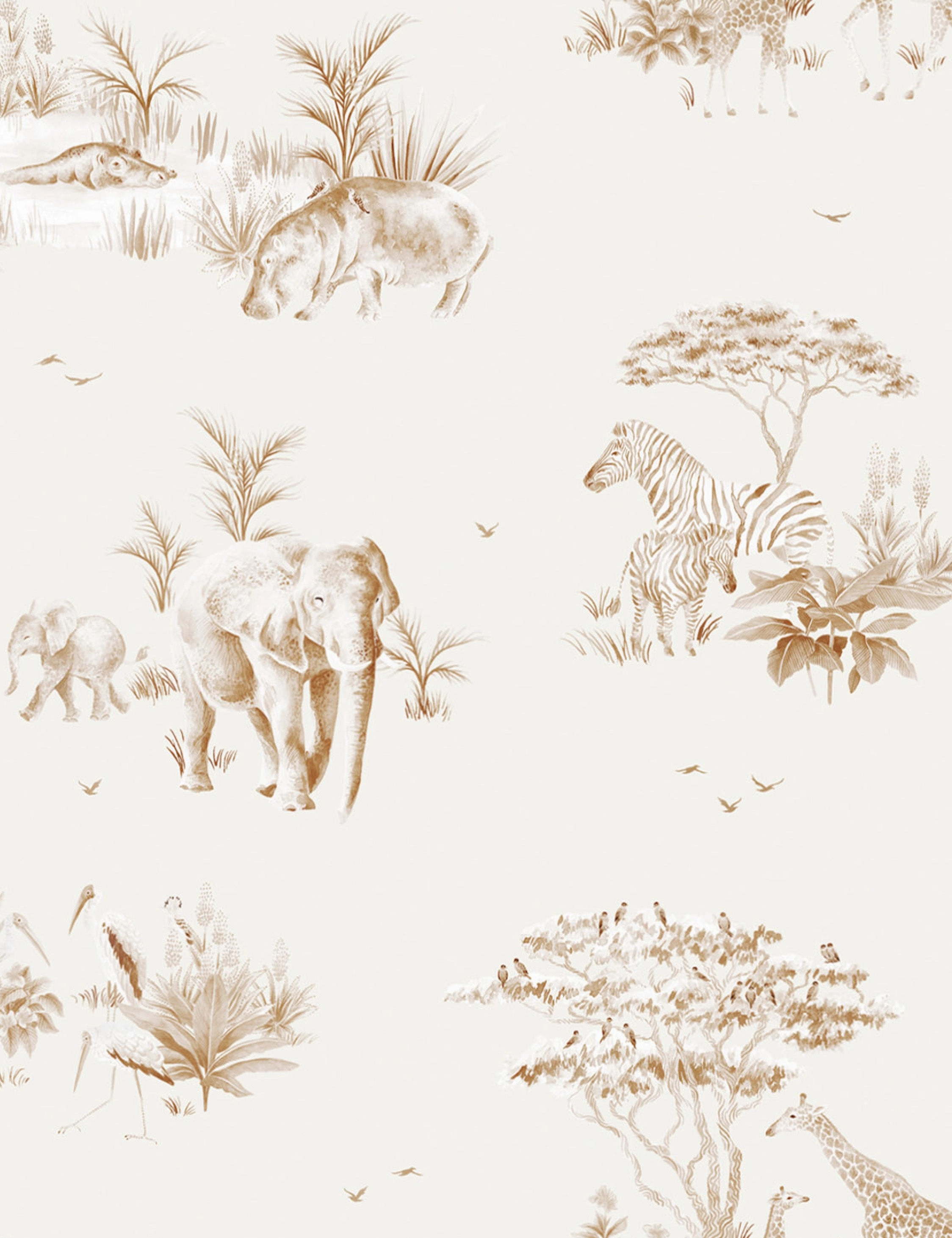 Safari Wallpaper