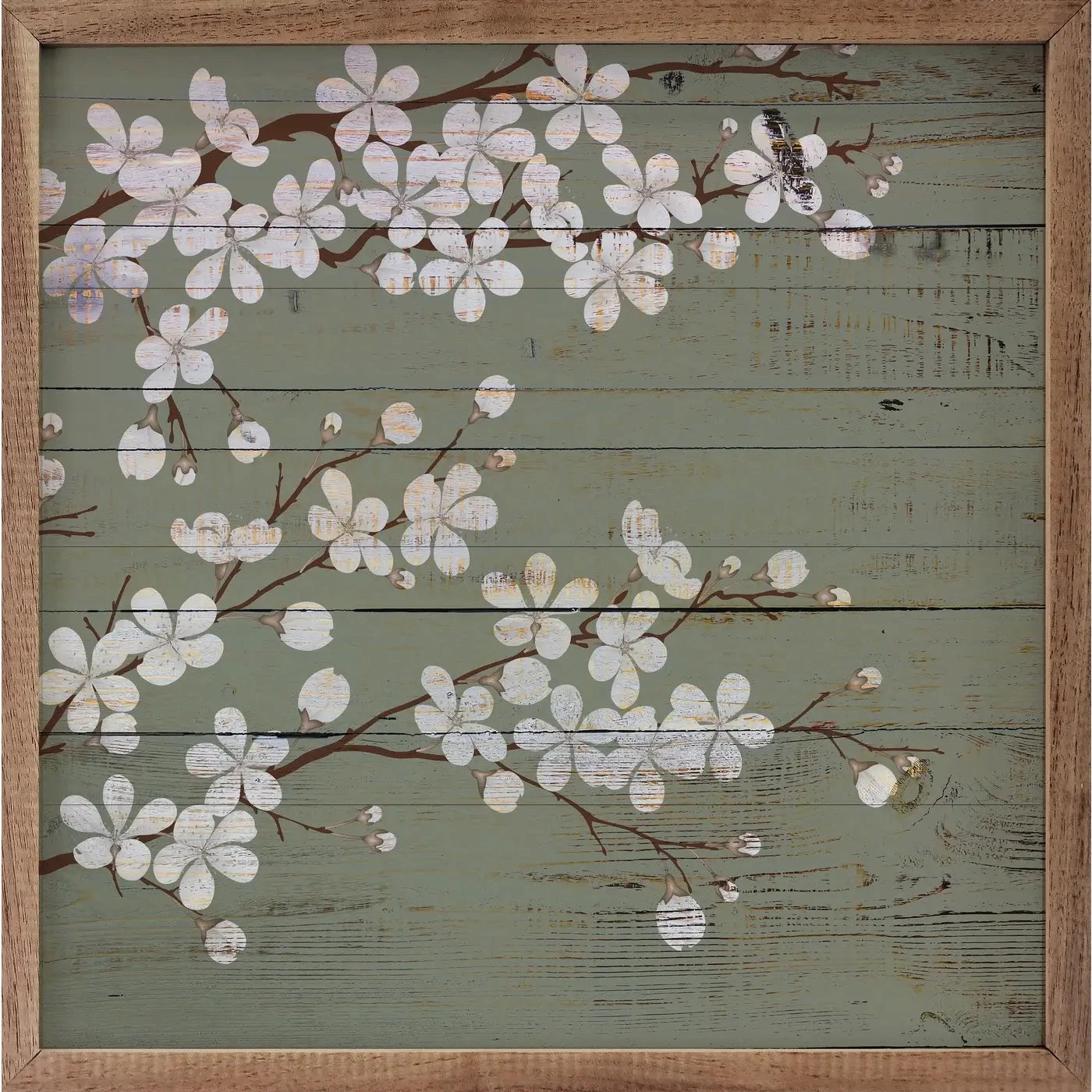 Sage Cherry Blossoms Wood Framed Print 