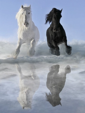 Salt and Pepper 