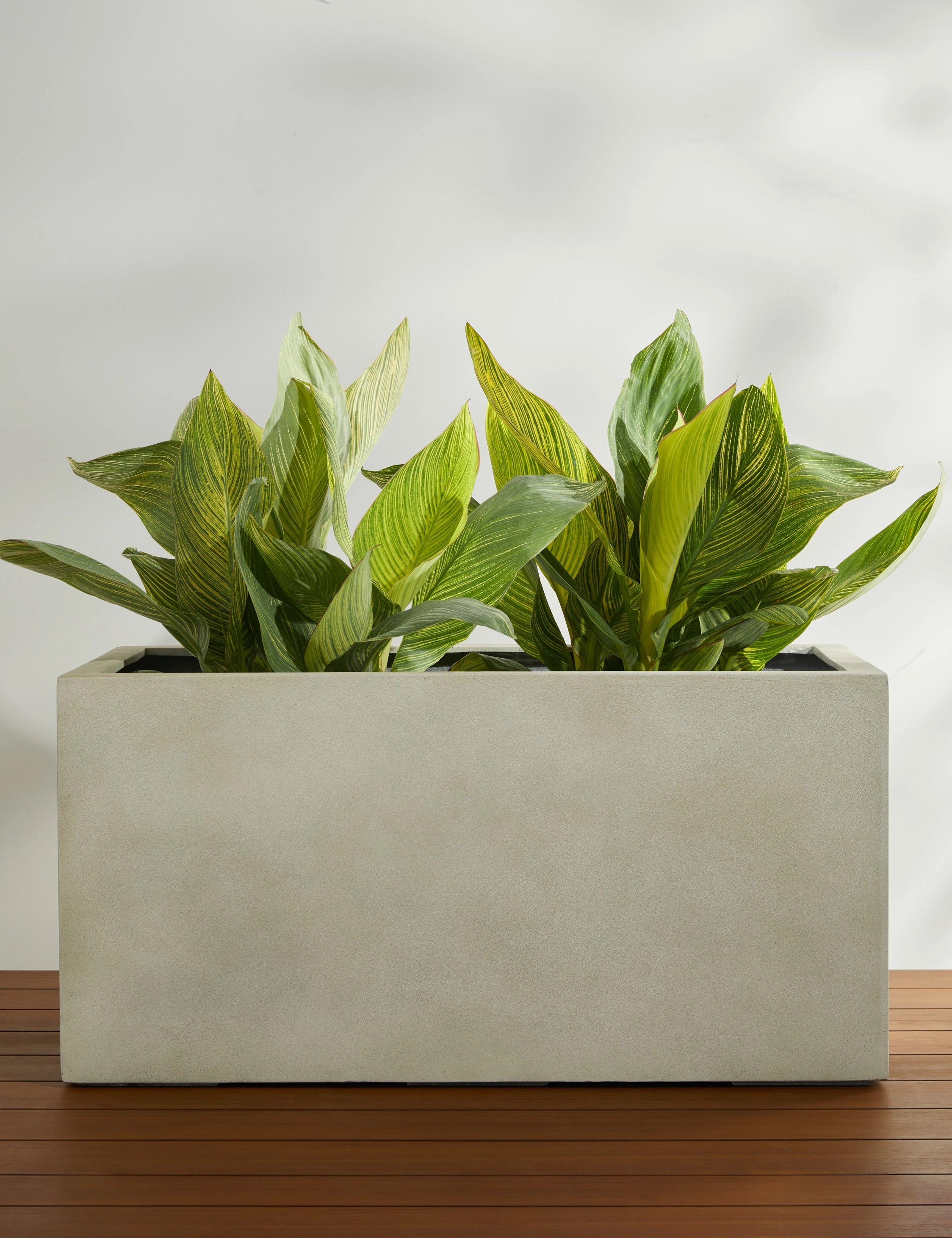 Sandal Planter by Campania International 
