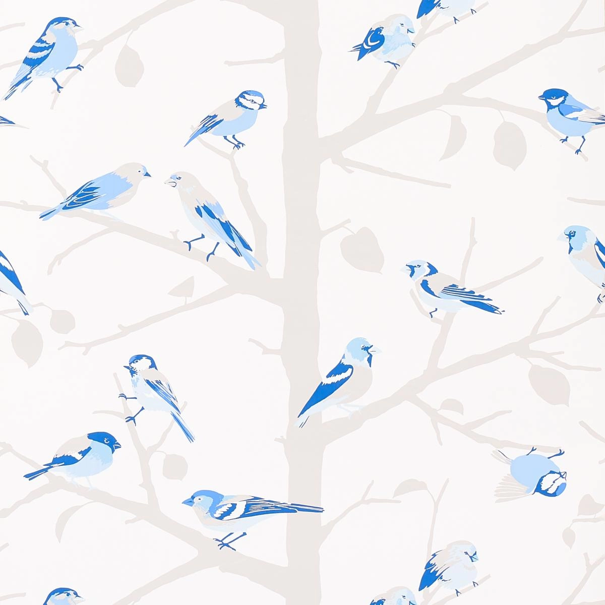 Schumacher A-Twitter Wallpaper
