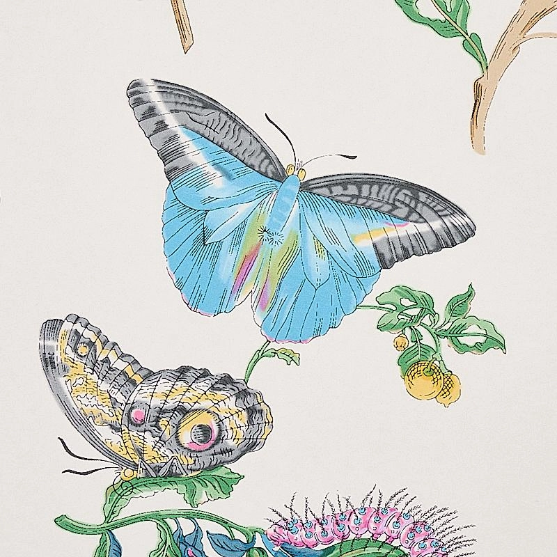 Schumacher Baudin Butterfly Wallpaper