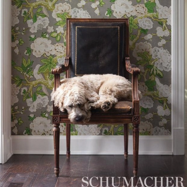 Schumacher Bermuda Blossoms Wallpaper 