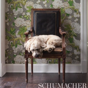 Schumacher Bermuda Blossoms Wallpaper 