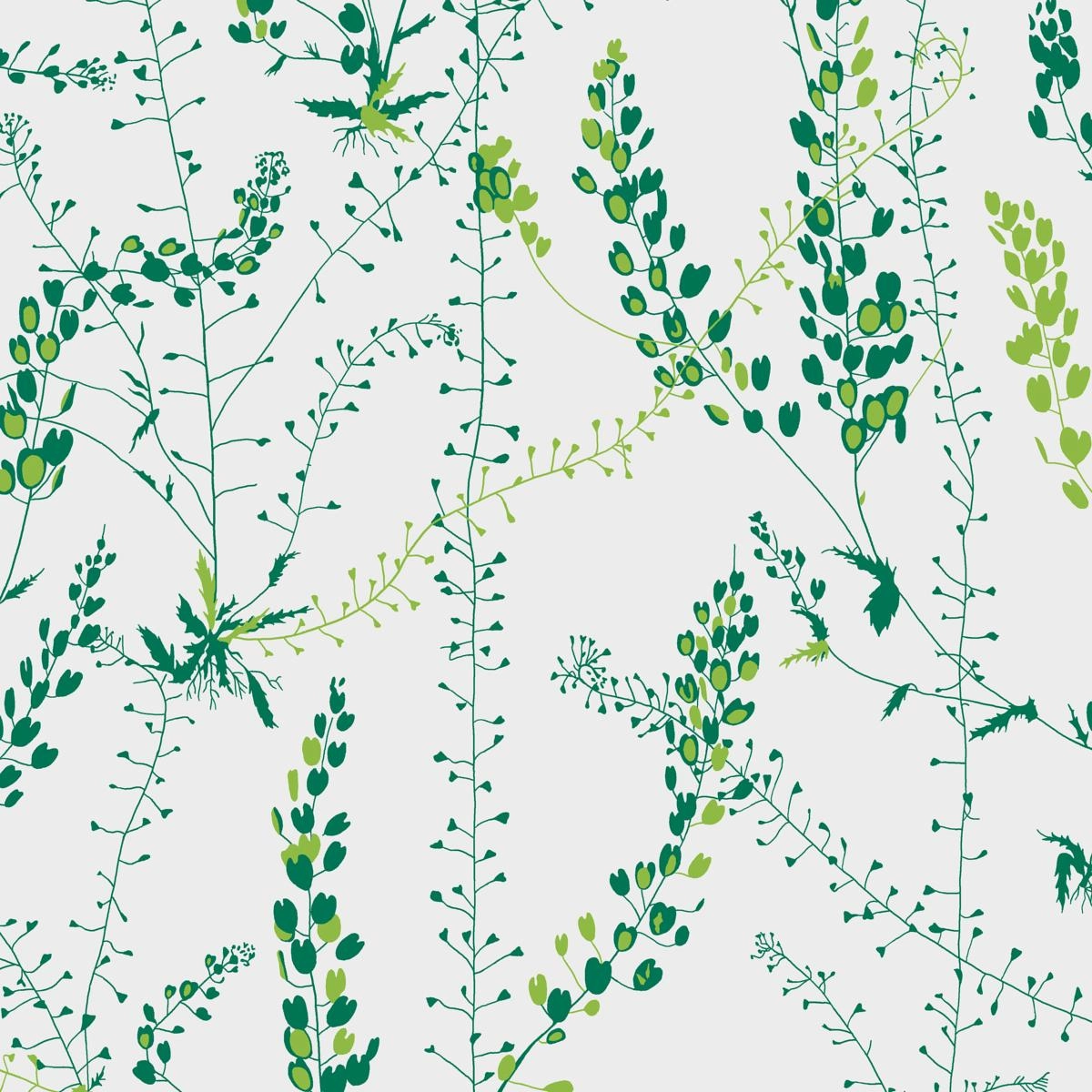 Schumacher Bladranker Wallpaper
