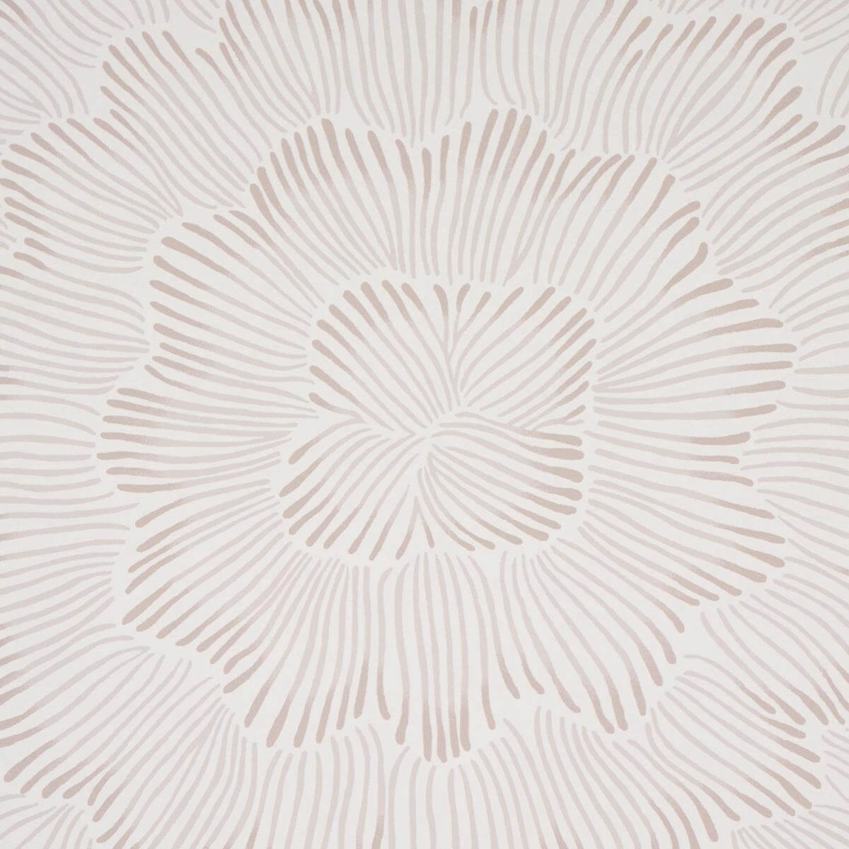 Schumacher Feather Bloom Wallpaper