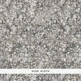 Schumacher Florence Wallpaper 