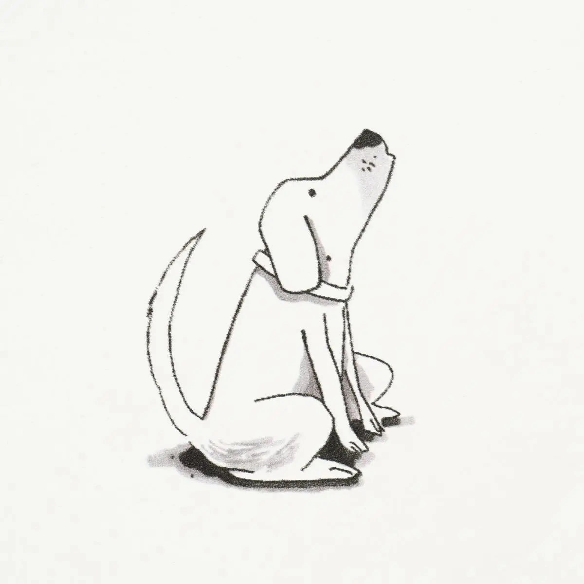 Schumacher Good Dogs Everywhere Wallpaper