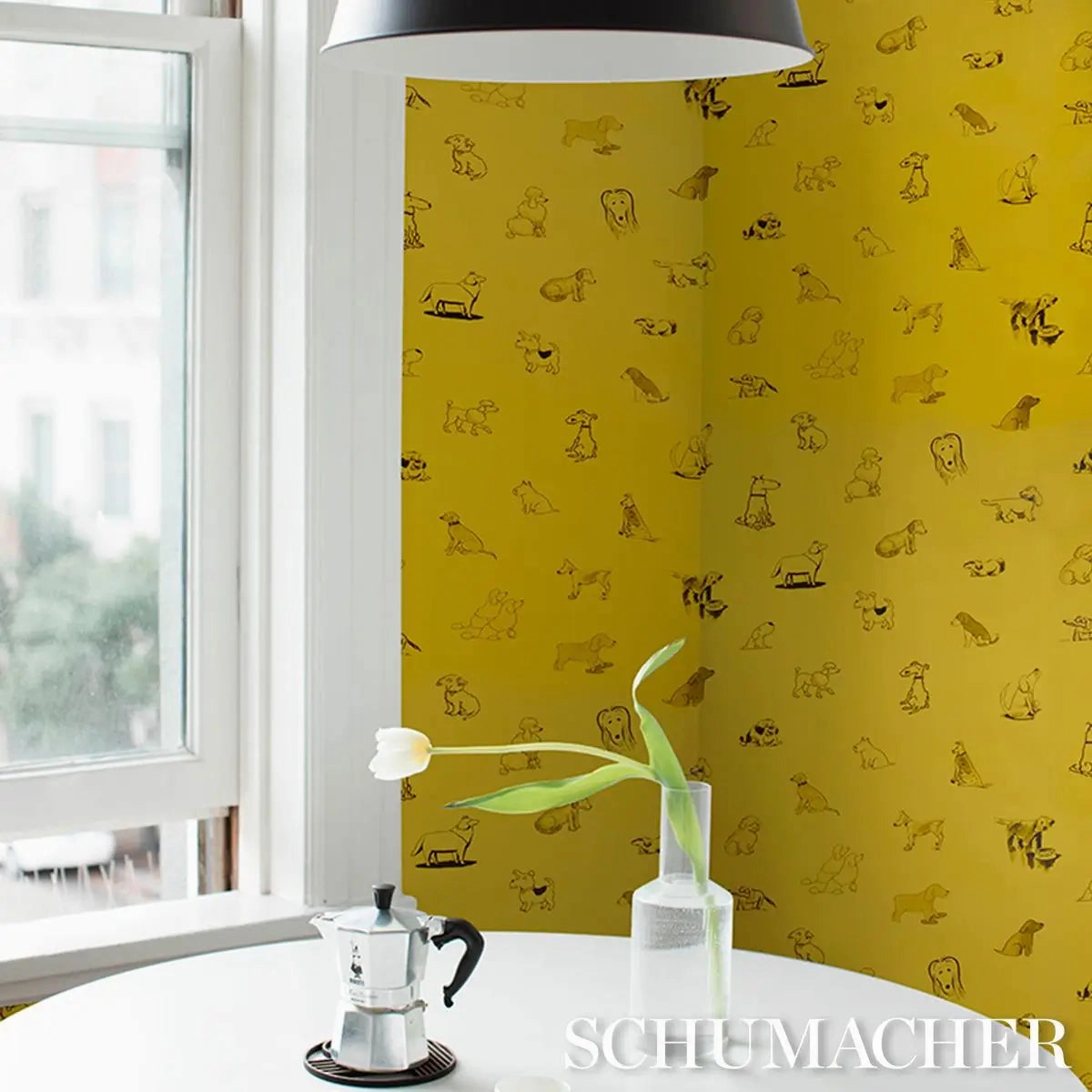 Schumacher Good Dogs Everywhere Wallpaper