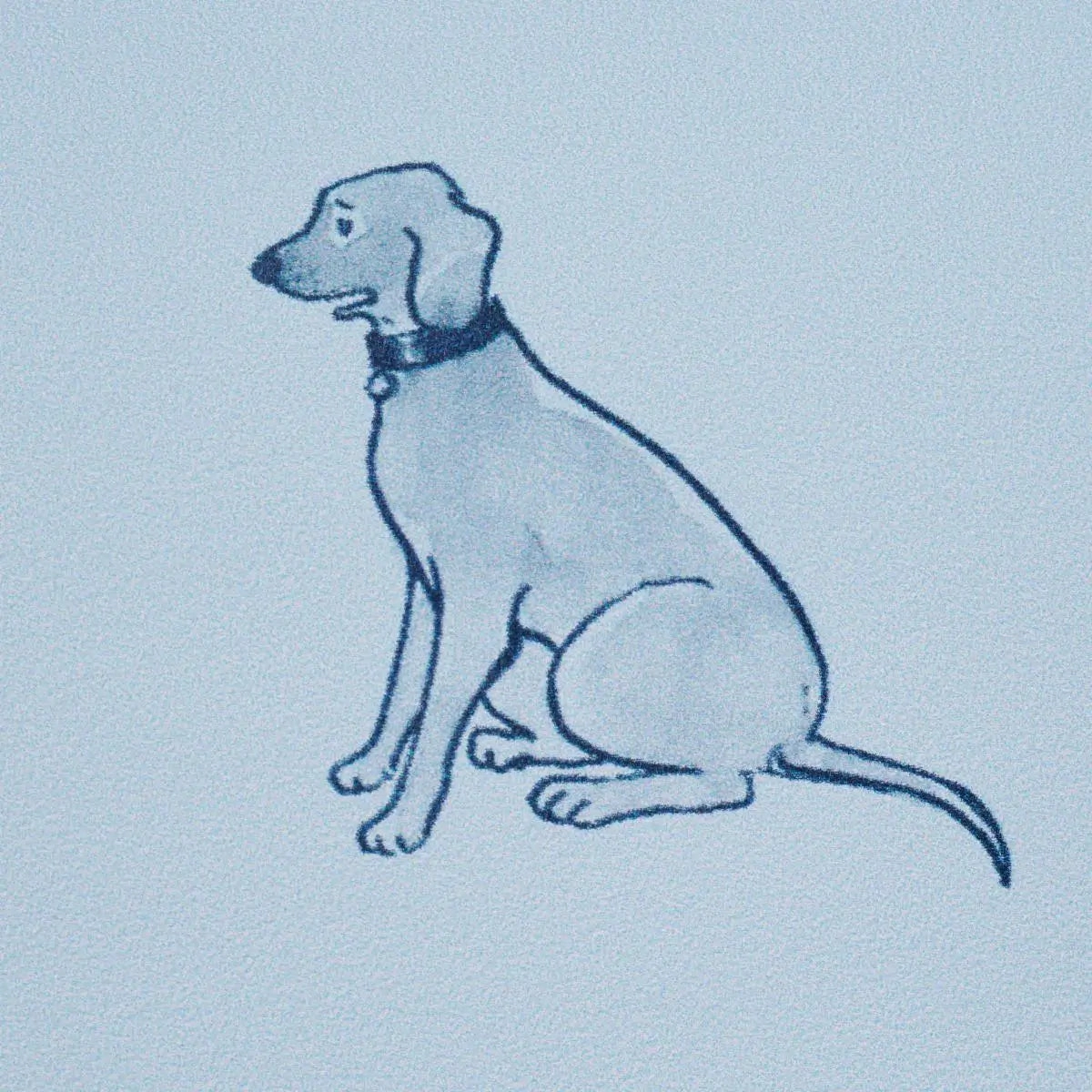 Schumacher Good Dogs Everywhere Wallpaper