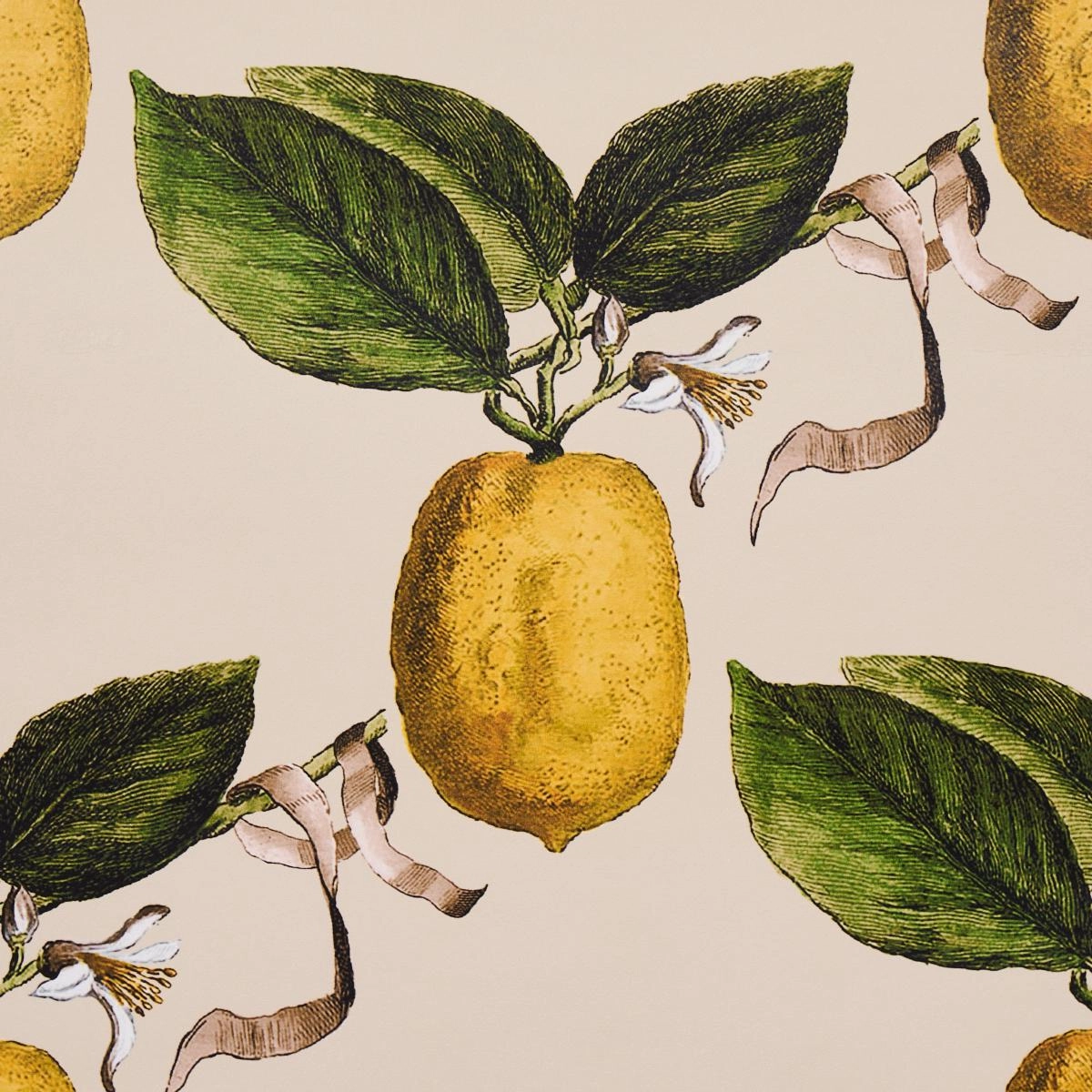 Schumacher Le Citron Wallpaper