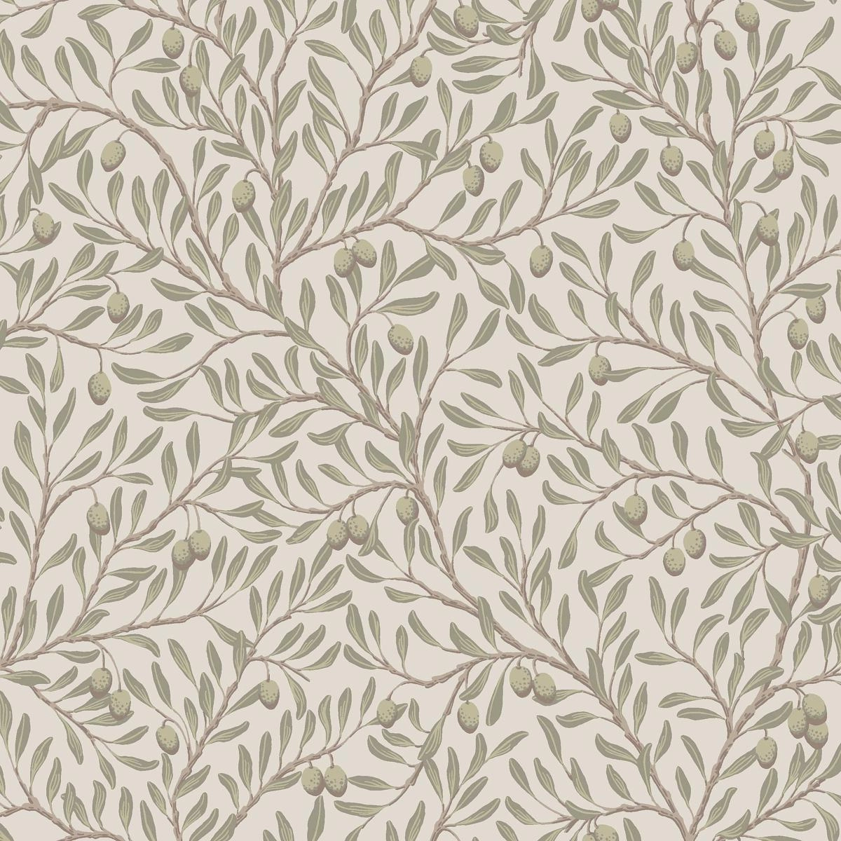 Schumacher Olivtrd Wallpaper
