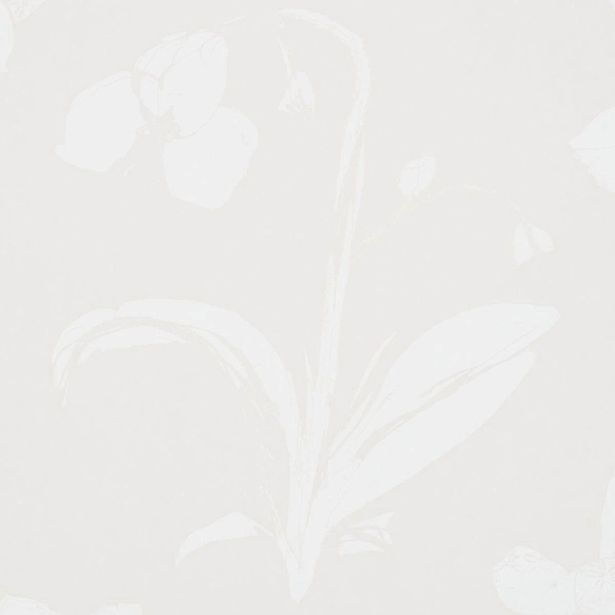 Schumacher Orchids Have Dreams Wallpaper
