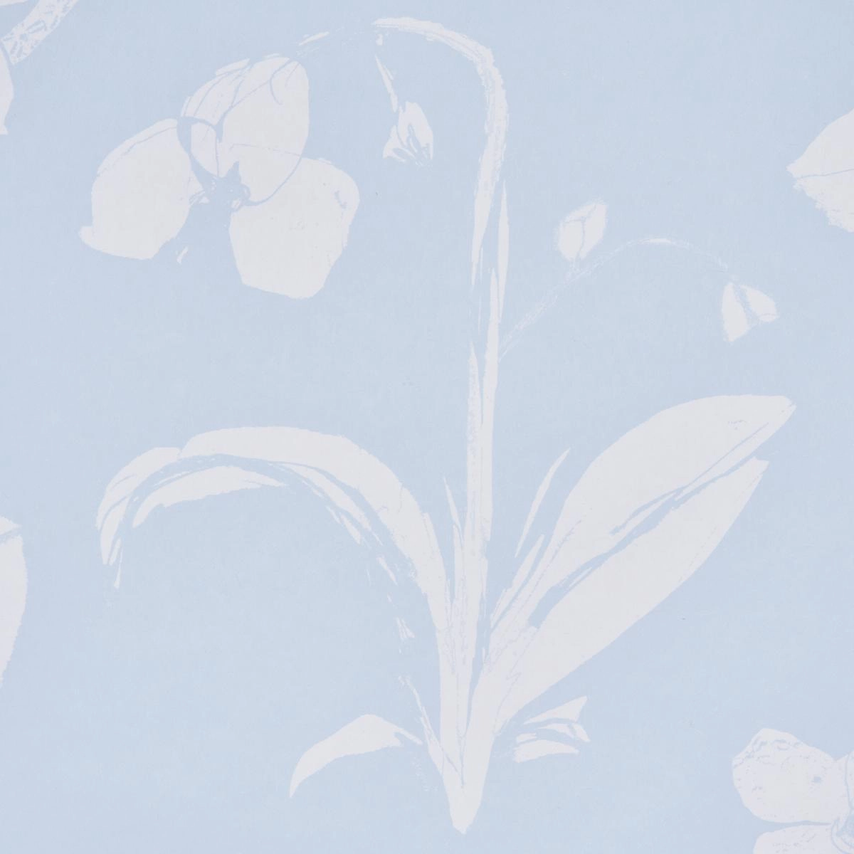 Schumacher Orchids Have Dreams Wallpaper