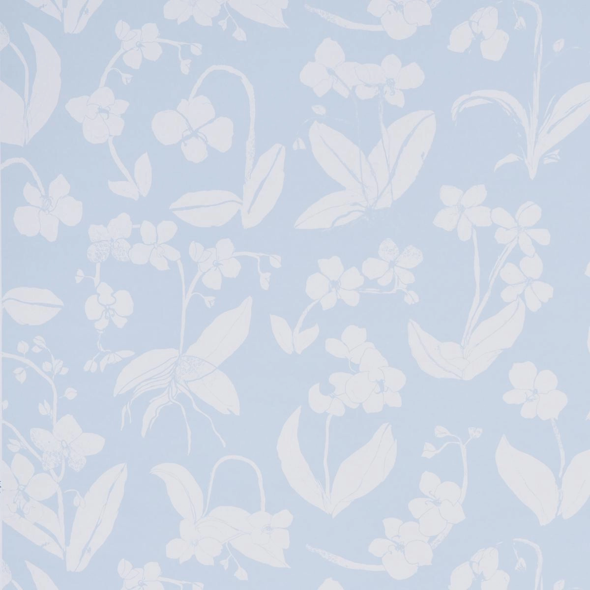 Schumacher Orchids Have Dreams Wallpaper