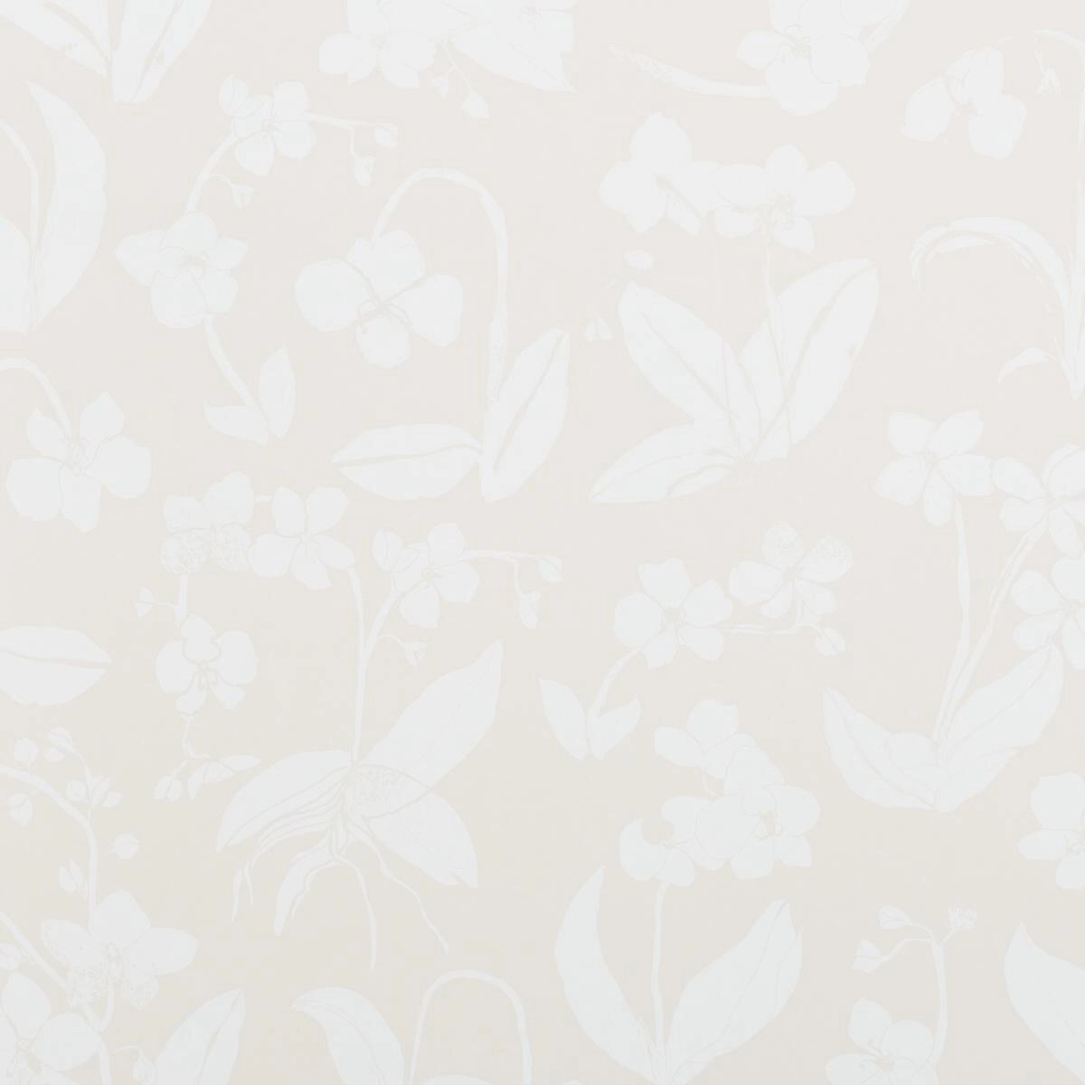 Schumacher Orchids Have Dreams Wallpaper