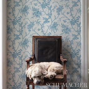 Schumacher San Cristobal Toile Wallpaper 