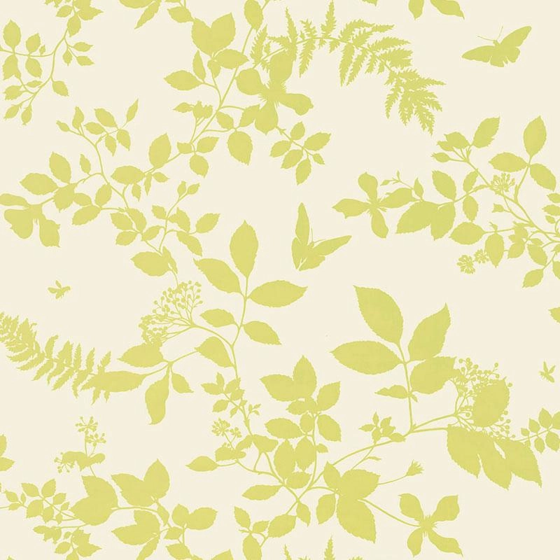 Schumacher Shadow Vine Wallpaper