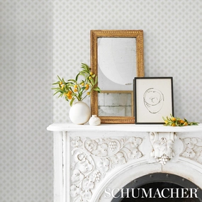 Schumacher Star Anise Mink Print Wallpaper 