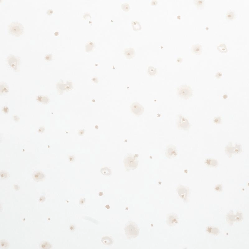 Schumacher Stellar Wallpaper