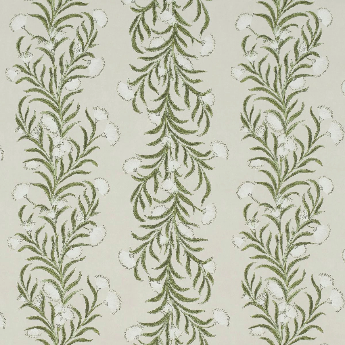 Schumacher Tasmanian Mimosa Wallpaper