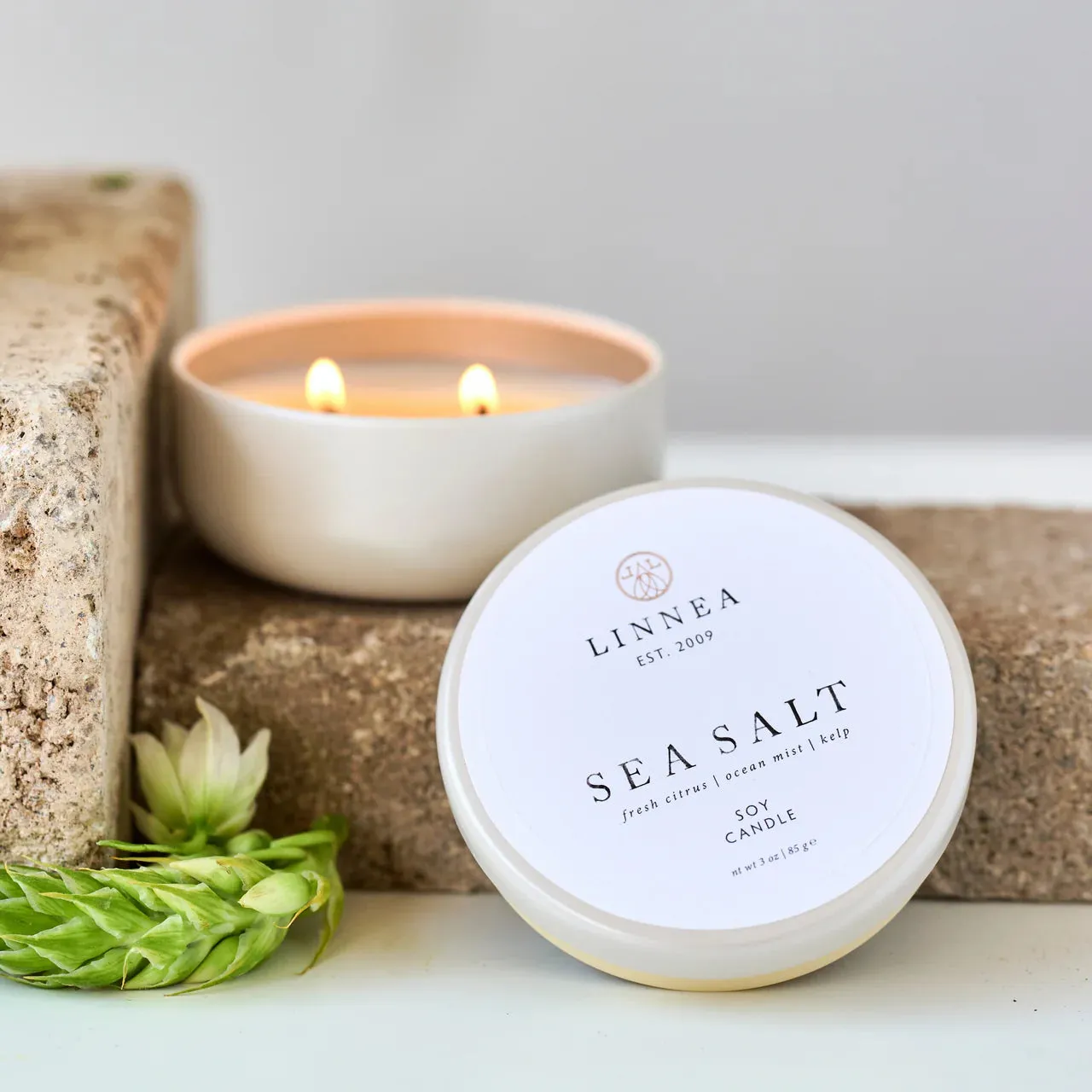 Sea Salt 2 Wick Candle