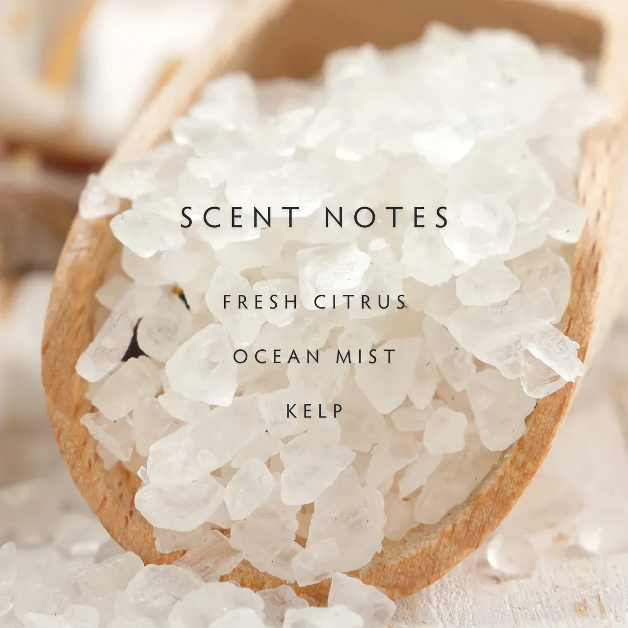 Sea Salt Grande 3 Wick Candle