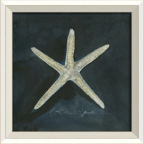 Seashell Art Print With White Frame 