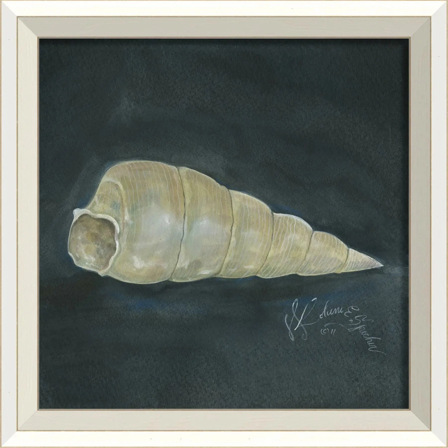 Seashell Art Print With White Frame