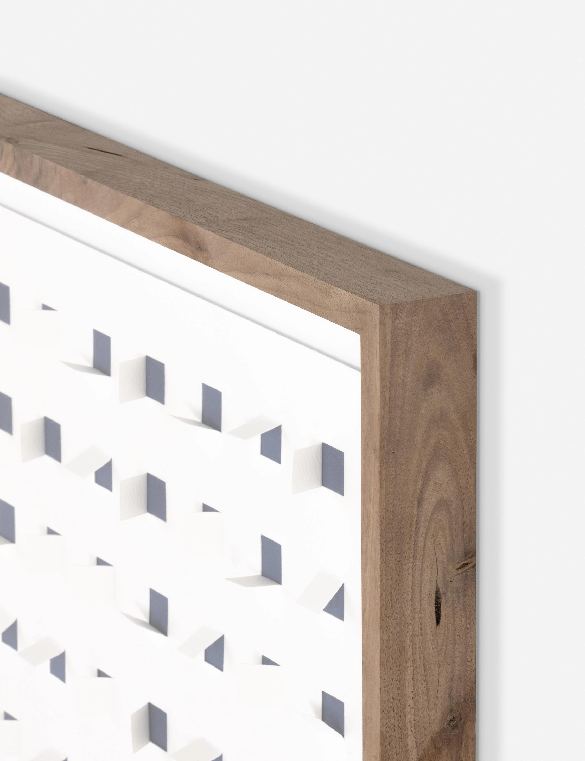 See Through Wall Art