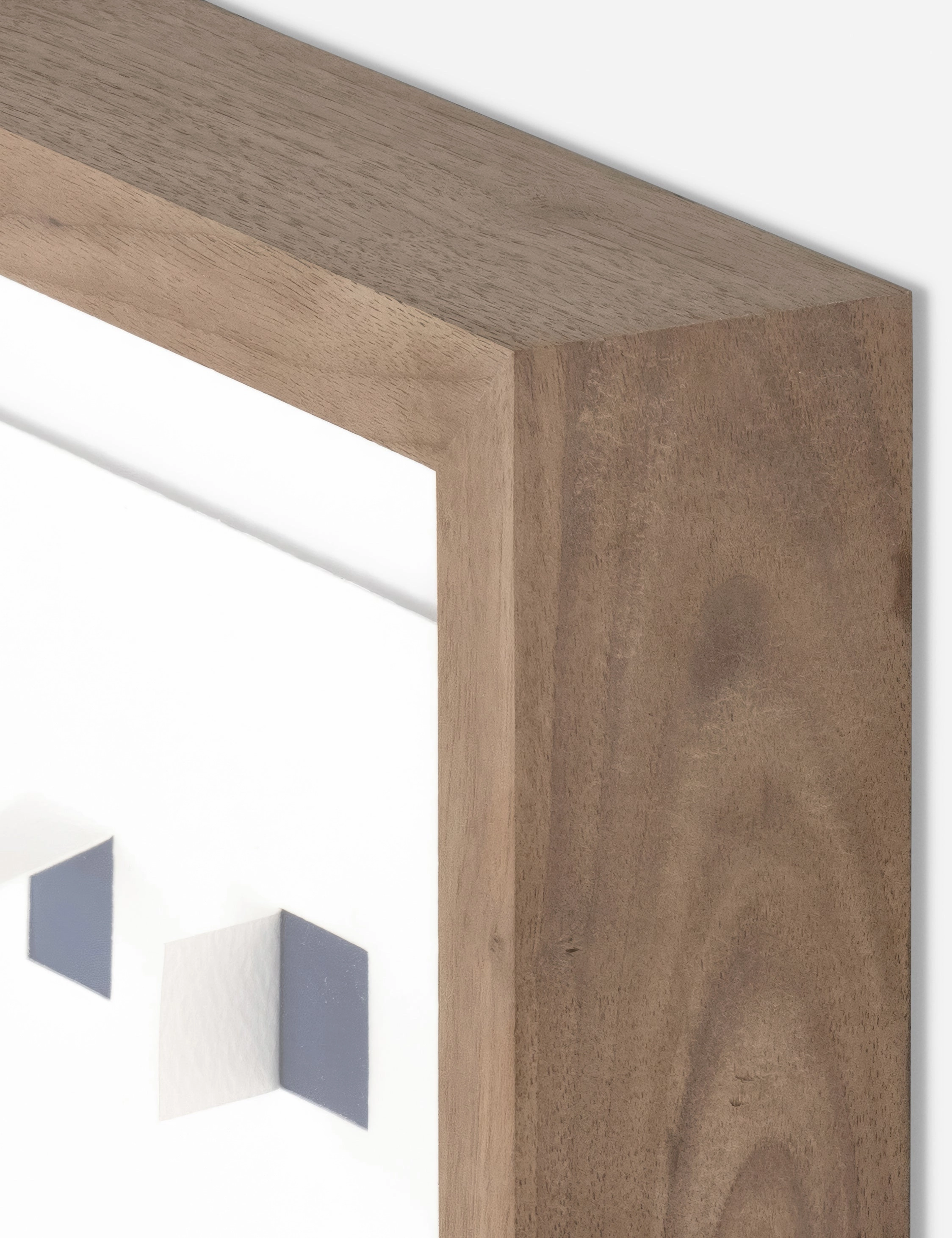 See Through Wall Art