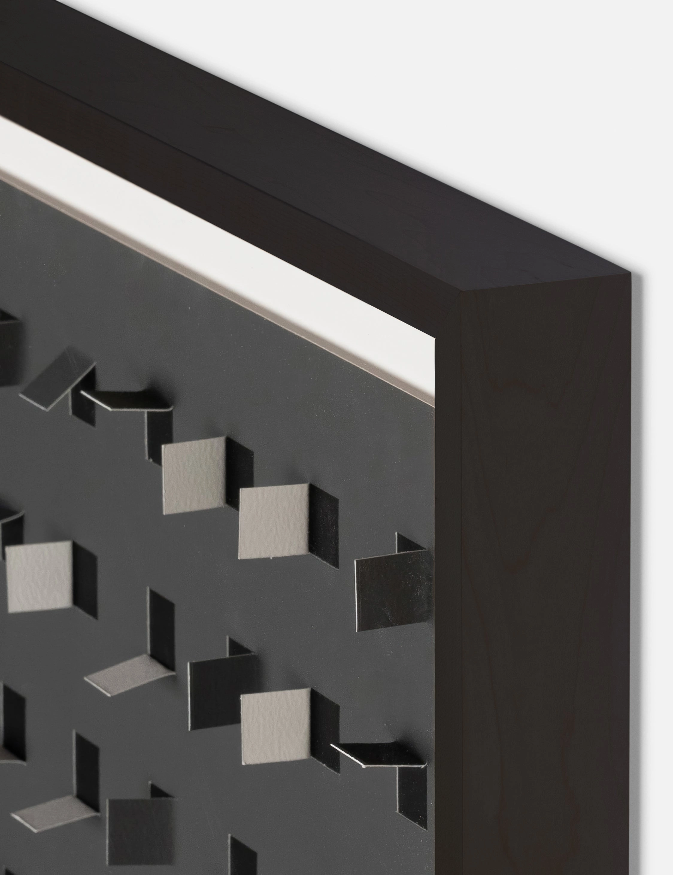 See Through Wall Art
