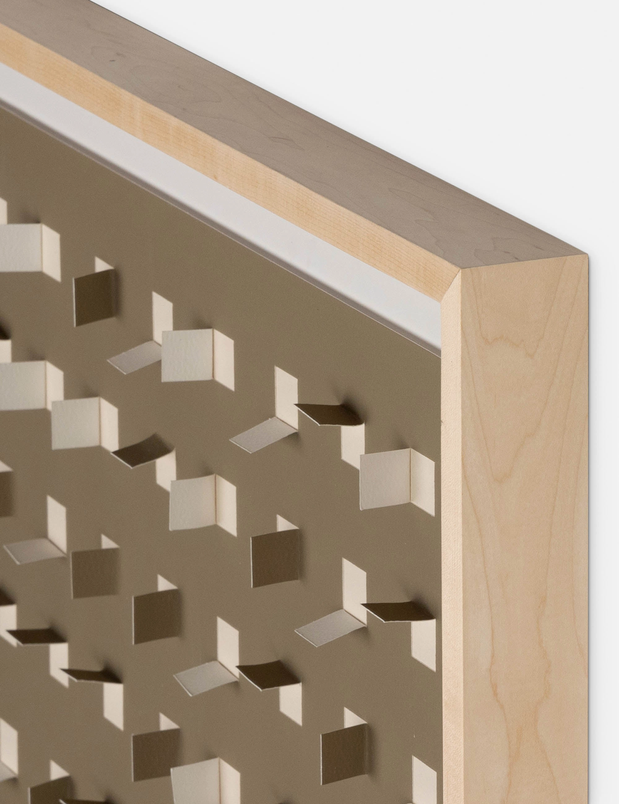 See Through Wall Art