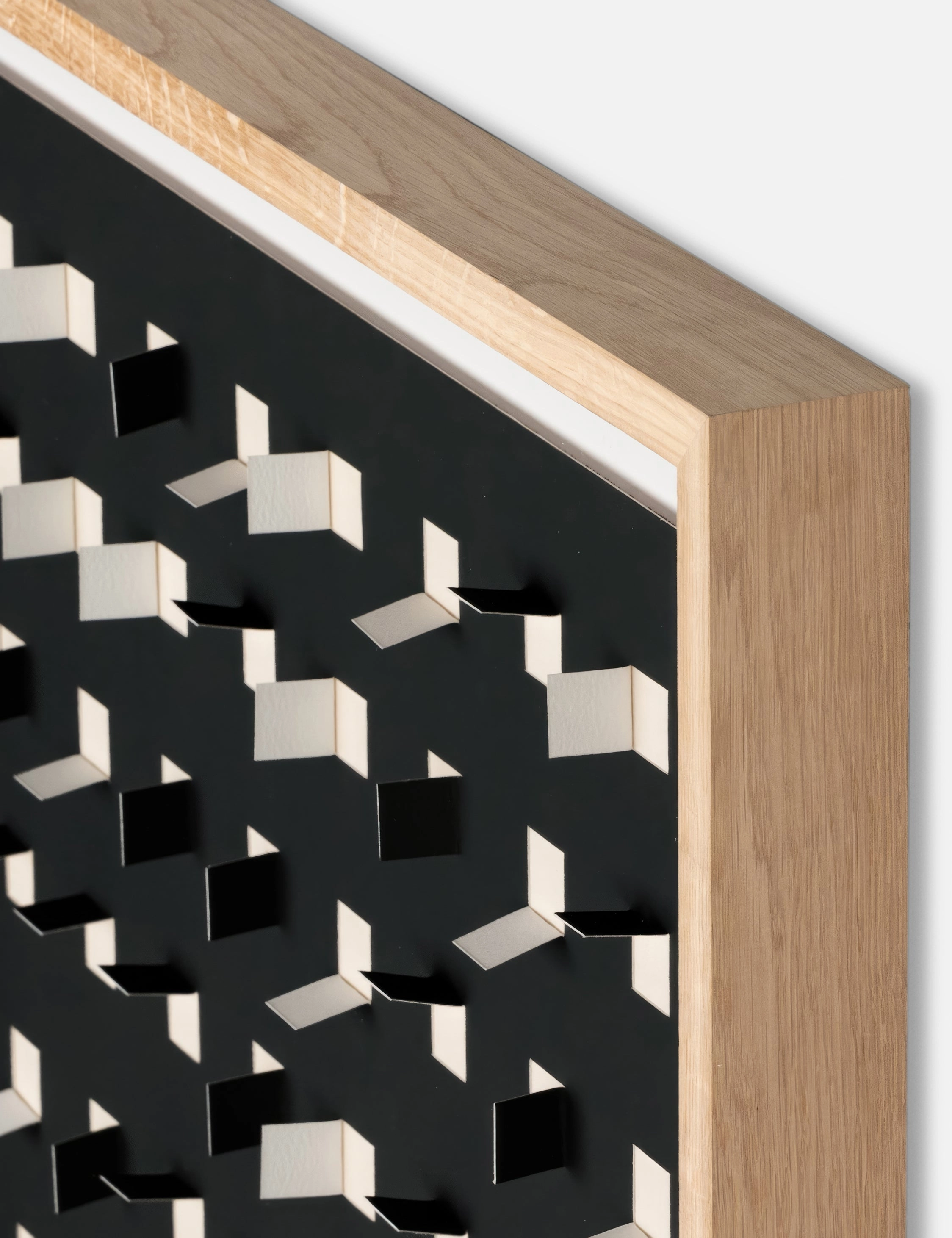 See Through Wall Art