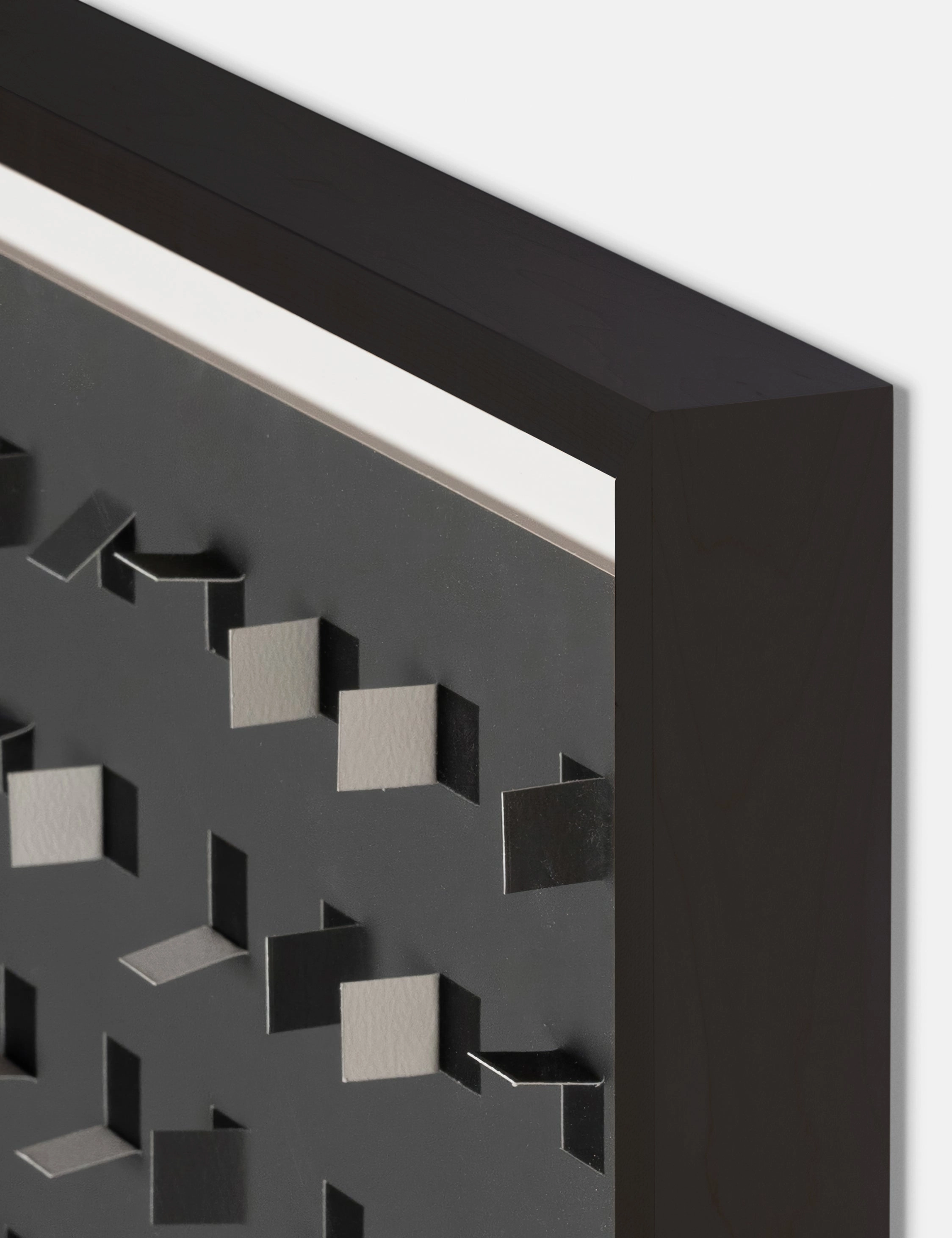 See Through Wall Art