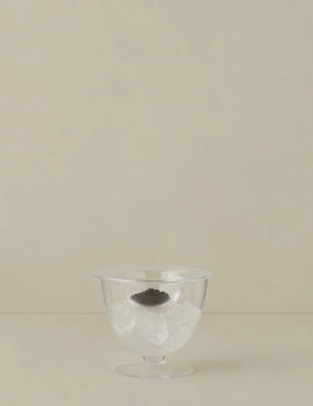 Serve Caviar Set by LSA International 
