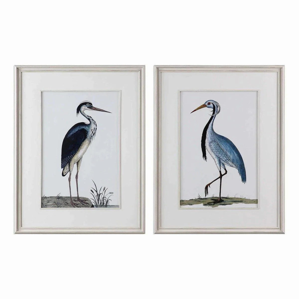 Set of 2 Coastal Framed Bird Prints 