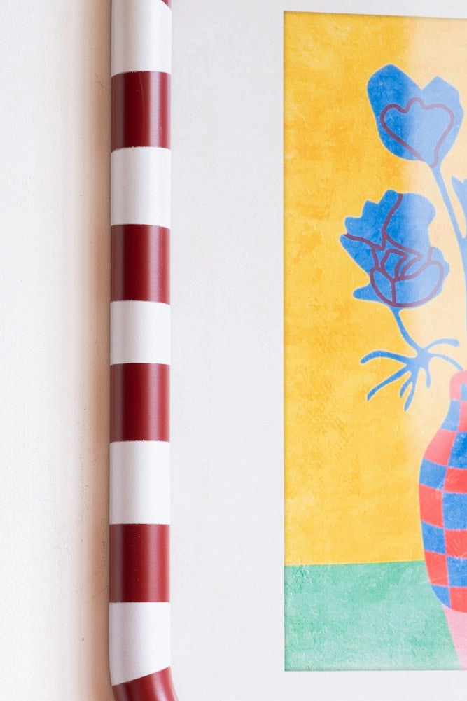 Set of 2 Red & White Striped Frames with Colourful Flower Prints
