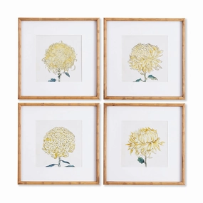 Set of 4 Framed Chrysanthemum Prints 
