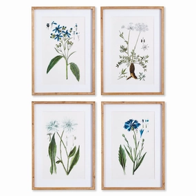 Set of 4 Framed Mountain Botanical Prints 