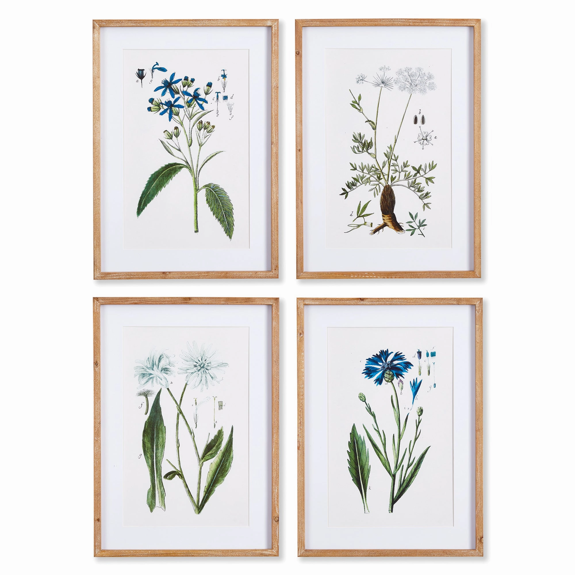 Set of 4 Framed Mountain Botanical Prints 