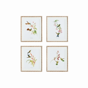 Set of 4 Hummingbird Framed Prints 