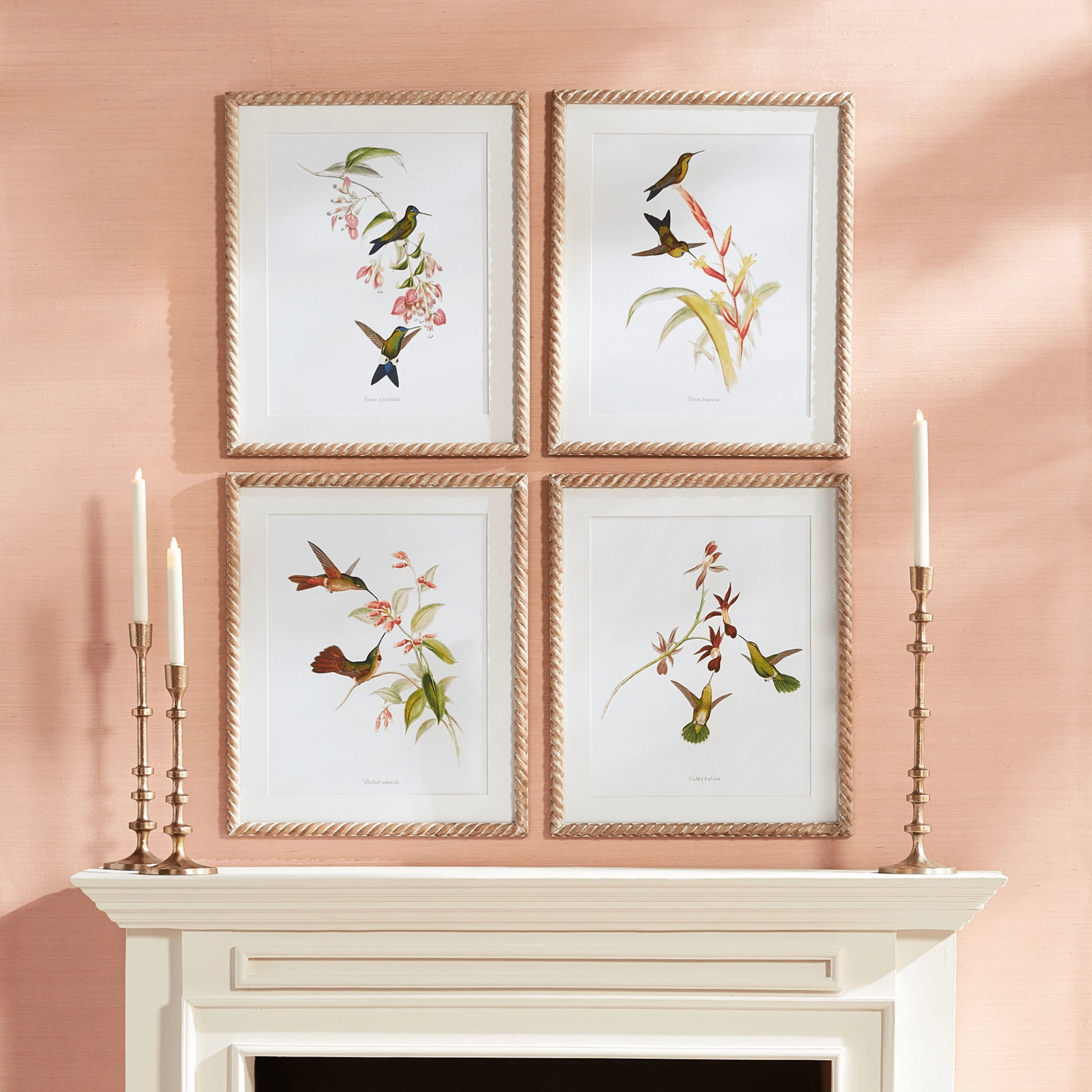 Set of 4 Hummingbird Framed Prints