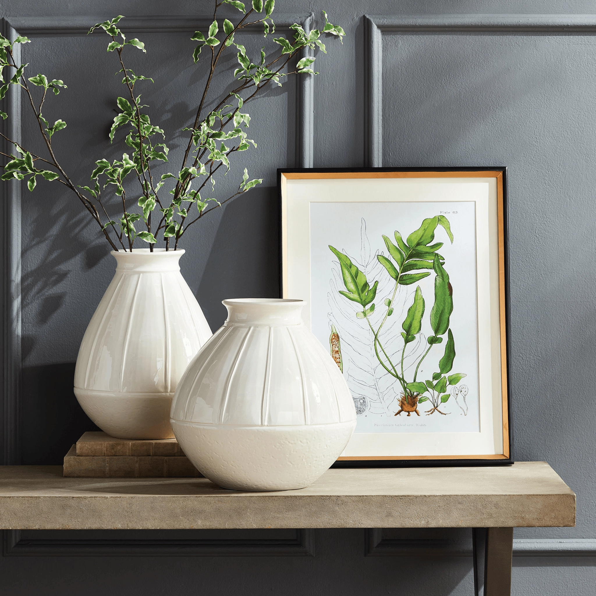 Set of 4 Structural Fern Study Framed Prints