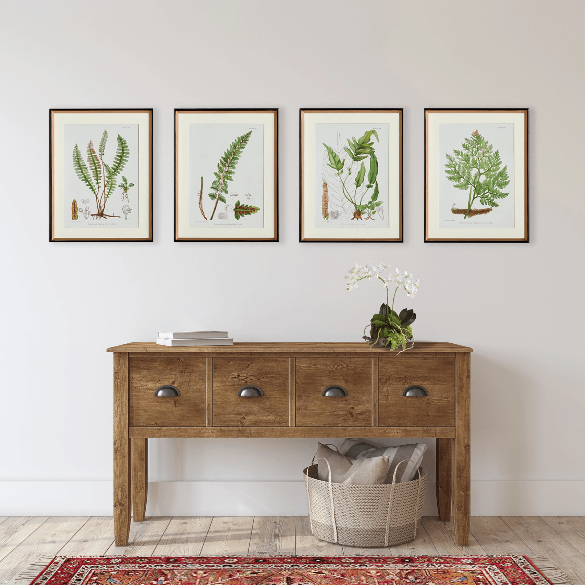 Set of 4 Structural Fern Study Framed Prints