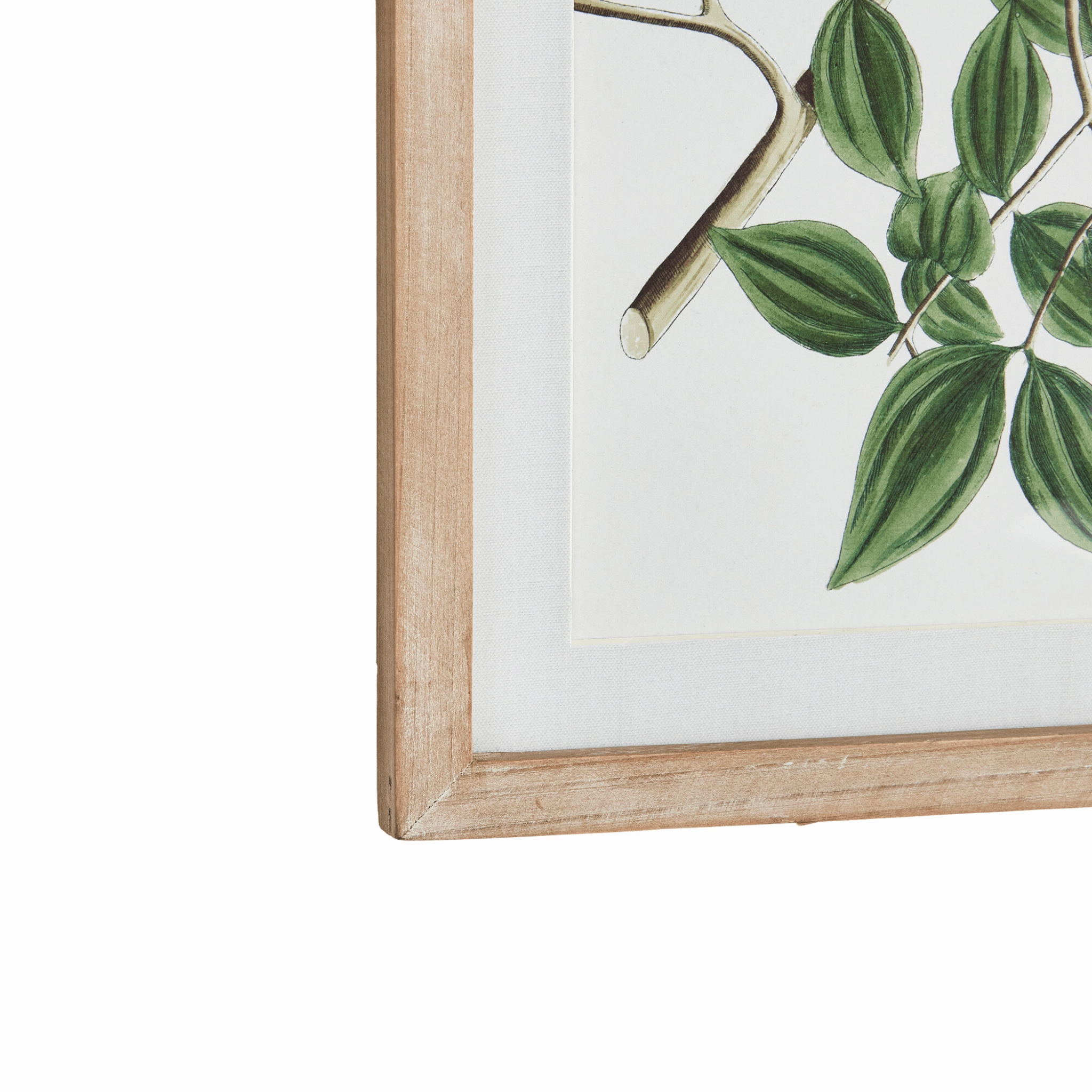 Set of 4 Verdant Branch Framed Prints