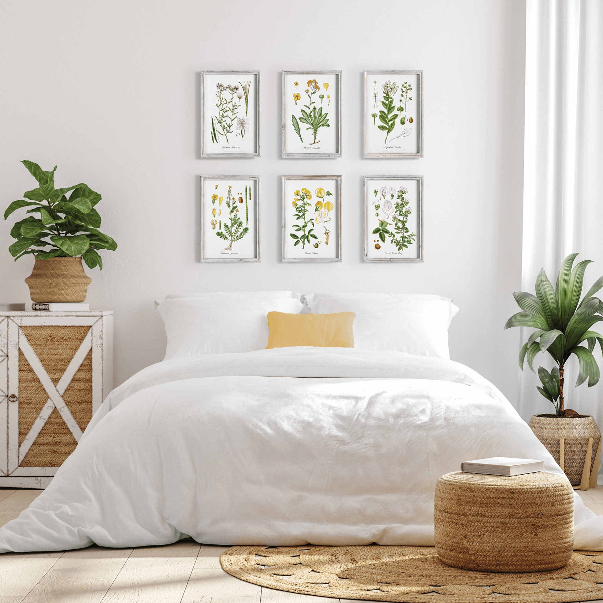 Set of 6 Botanical Study Perennial Framed Prints