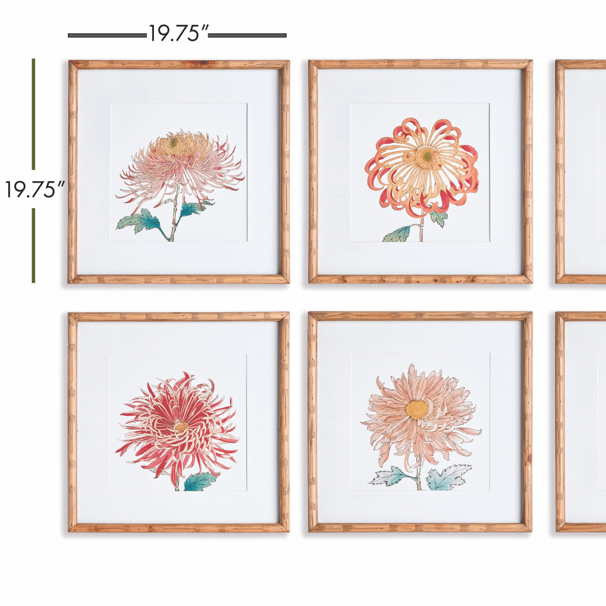 Set of 6 Colorful Chrysanthemum Framed Prints